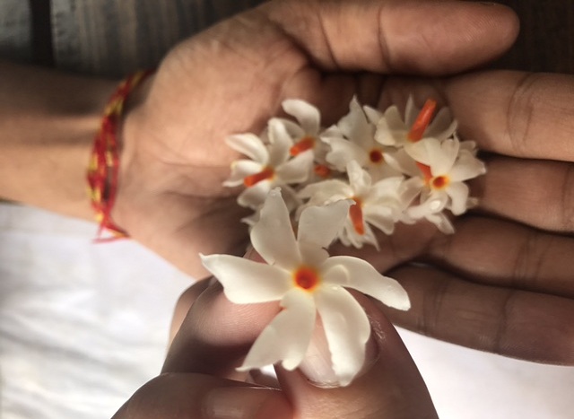 yoga-retreat-at-rishikesh-yoga-foundation